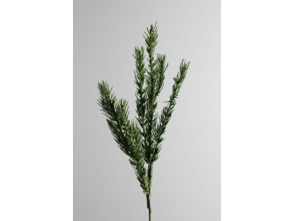 10243 10243 10243 vetvicka 50cm