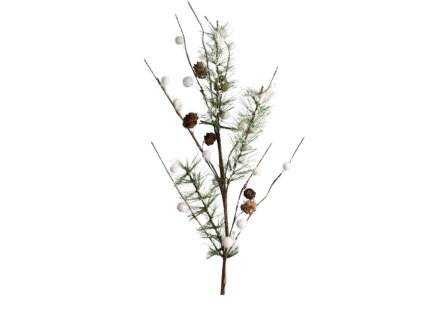 10255 10255 1 pixelcut export 1339