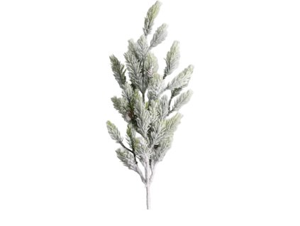 10261 10261 1 pixelcut export 1411