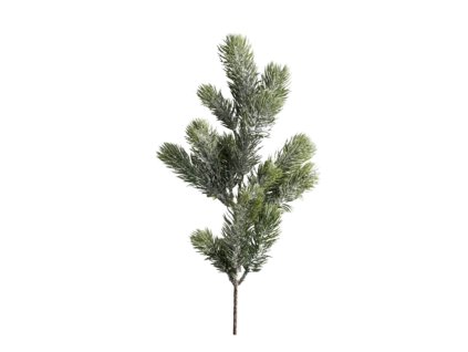 10264 10264 1 pixelcut export 1384