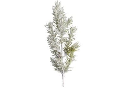 10267 10267 1 pixelcut export 1409