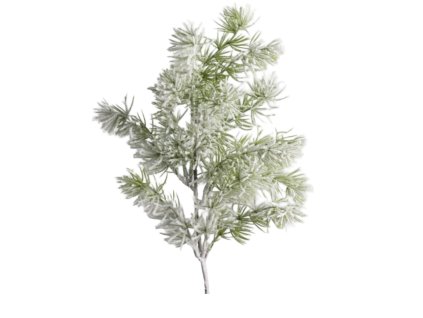 10273 10273 1 pixelcut export 1410