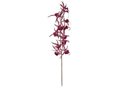 10291 10291 1 pixelcut export 1208