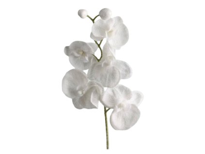 10303 pixelcut export 2025 11 09t145021 777