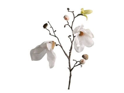 10306 pixelcut export 2025 11 09t150113 620