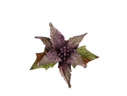 10324 10324 1 pixelcut export 1401