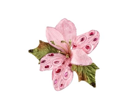 10336 10336 1 pixelcut export 1244