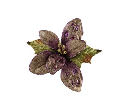 10339 10339 1 pixelcut export 1243