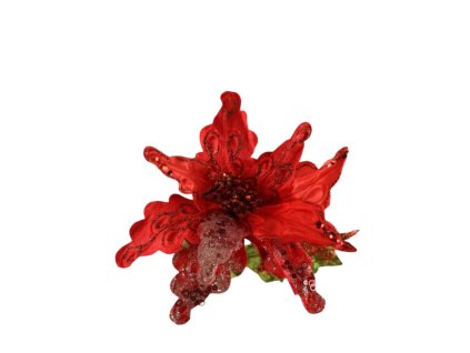 10351 10351 1 pixelcut export 1396