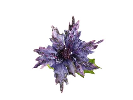 10354 10354 1 pixelcut export 1300