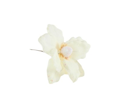 10393 10393 1 pixelcut export 1348