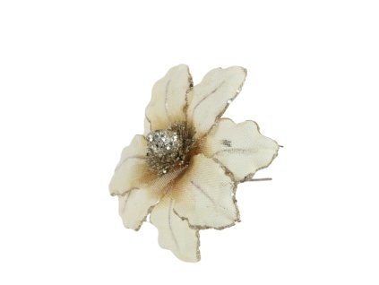 10396 10396 2 pixelcut export 1353