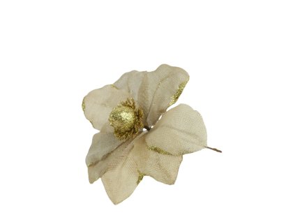 10399 10399 2 pixelcut export 1347