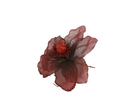 10402 10402 1 pixelcut export 1349