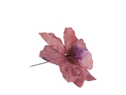 10405 10405 1 pixelcut export 1350