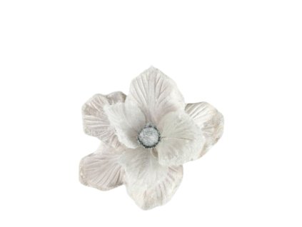 10411 10411 1 pixelcut export 1255