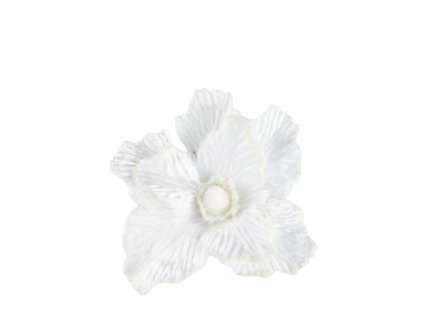 10414 10414 1 pixelcut export 1254