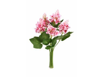 ChatGPT Image 20. 2. 2026, 18 24 00