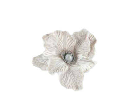 10420 10420 1 pixelcut export 1256