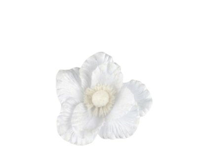 10426 10426 1 pixelcut export 1245