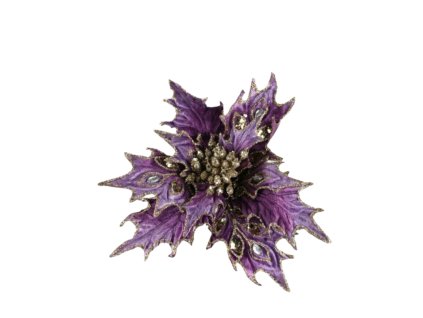 10441 10441 1 pixelcut export 1404