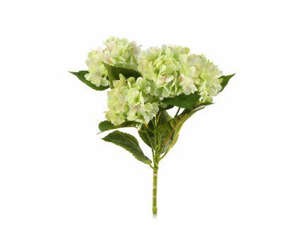 ChatGPT Image 19. 2. 2026, 19 05 38