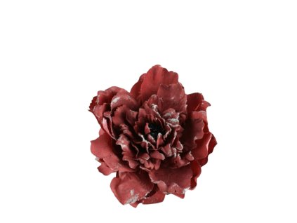 10450 10450 1 pixelcut export 1299