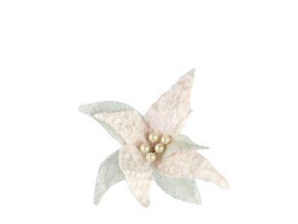 10459 10459 1 pixelcut export 1266