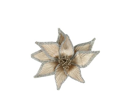 10465 10465 1 pixelcut export 1286