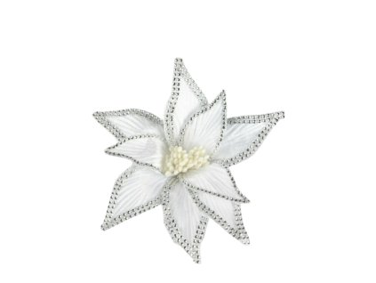 10468 10468 1 pixelcut export 1292