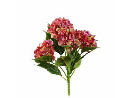 ChatGPT Image 19. 2. 2026, 19 13 58