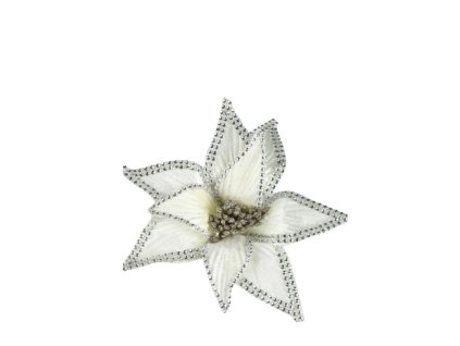 10474 10474 1 pixelcut export 1285