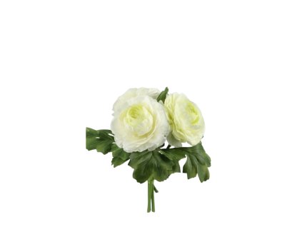 10477 10477 1 pixelcut export 2025 08 01t154220 793