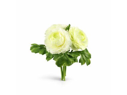 ChatGPT Image 21. 2. 2026, 10 13 26