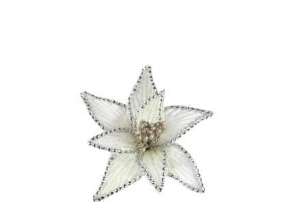 10480 10480 1 pixelcut export 1265