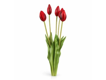 ChatGPT Image 21. 2. 2026, 10 09 03