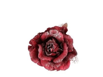 10504 10504 1 pixelcut export 1251