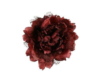 10519 10519 1 pixelcut export 1250