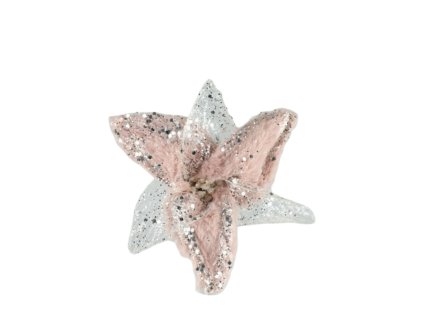 10522 10522 1 pixelcut export 1257