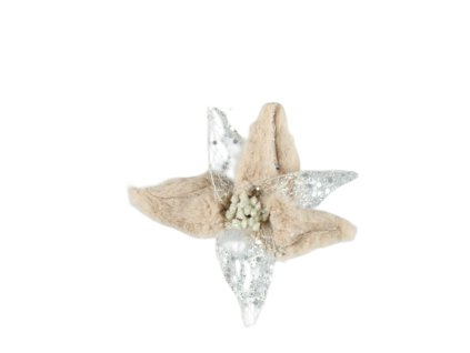 10525 10525 1 pixelcut export 1252