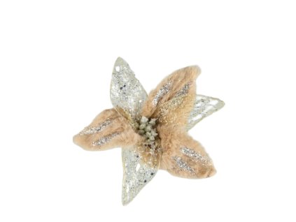 10528 10528 1 pixelcut export 1260