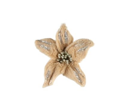 10534 10534 1 pixelcut export 1261