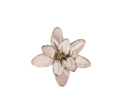 10537 10537 1 pixelcut export 1301