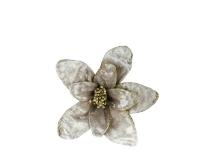 10540 10540 1 pixelcut export 1269