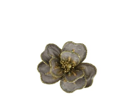 10543 10543 1 pixelcut export 1284