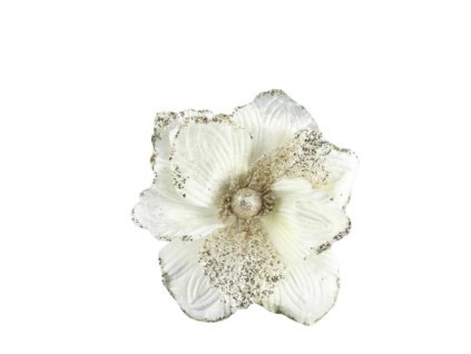 10555 10555 1 pixelcut export 1360