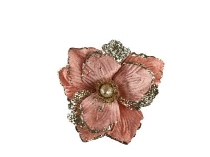 10561 10561 1 pixelcut export 1361