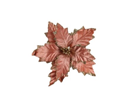 10564 10564 1 pixelcut export 1354