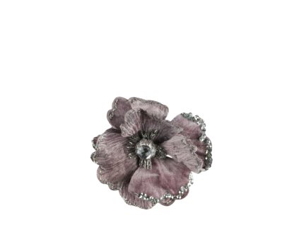 10573 10573 1 pixelcut export 1296