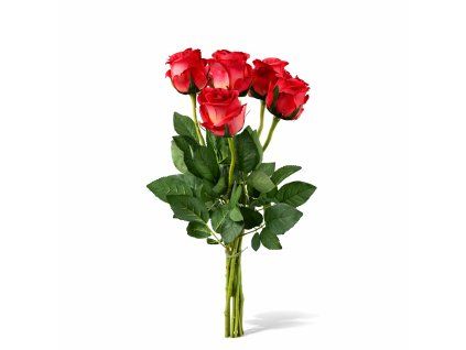 ChatGPT Image 21. 2. 2026, 11 27 31